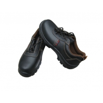 PTS929BEAS 安全鞋 (2)